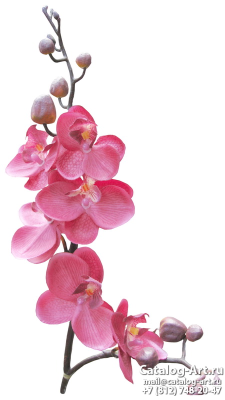 Натяжные потолки с фотопечатью - Розовые орхидеи 102